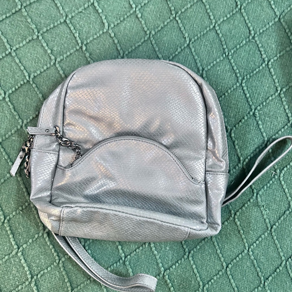 Silver Women's Bag